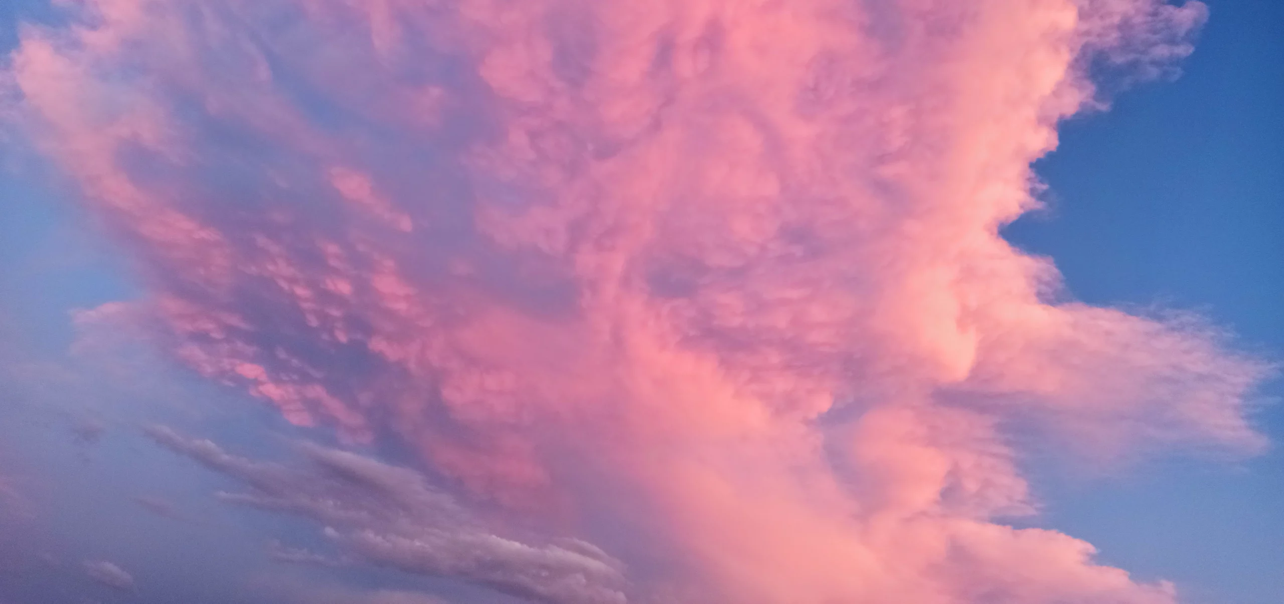 Una enorme nube rosada inundando, casi por completo, un hermoso cielo azul