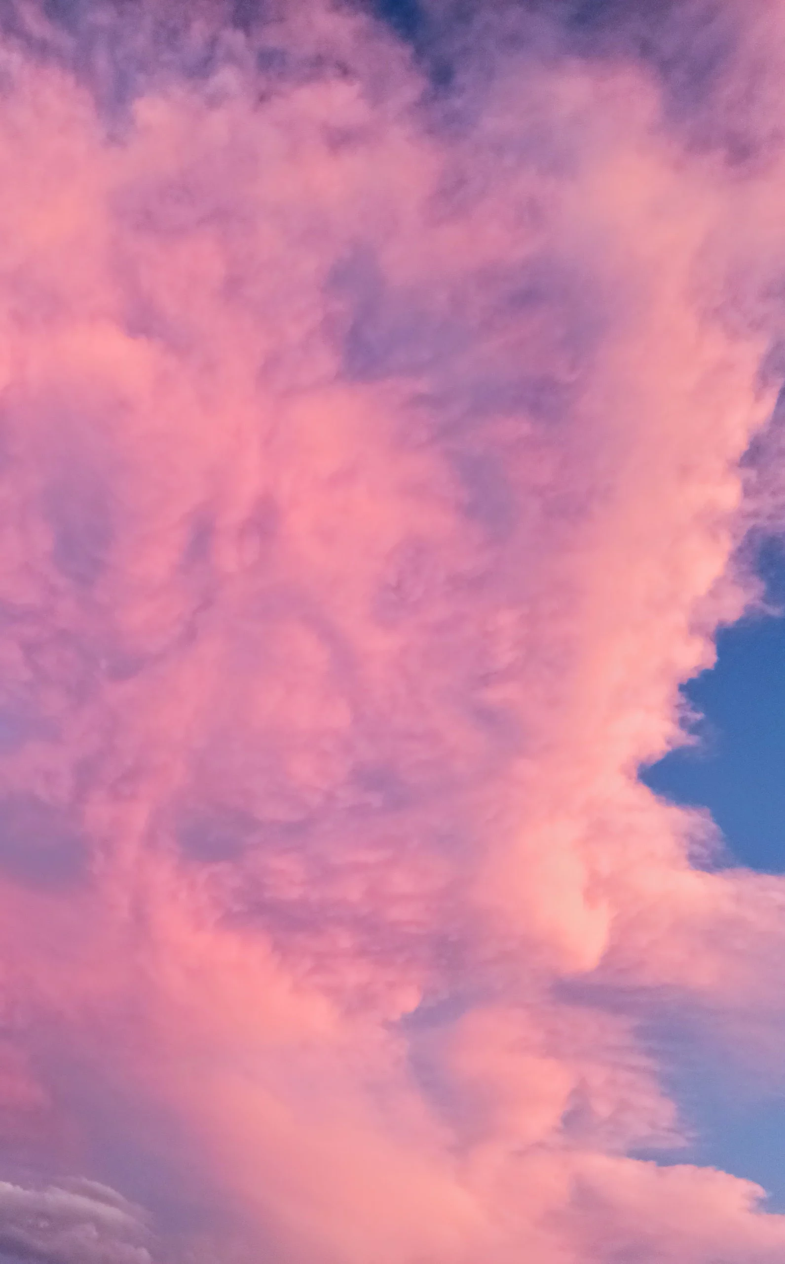 Una enorme nube rosada inundando, casi por completo, un hermoso cielo azul